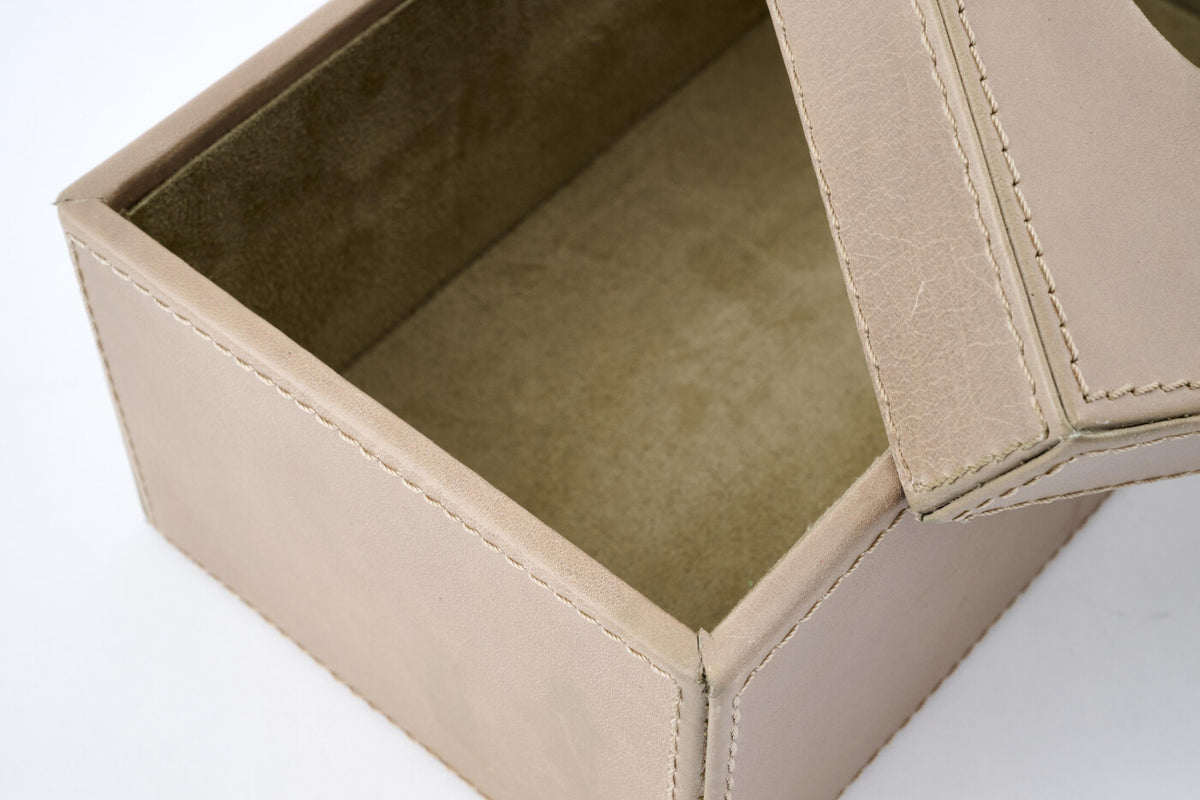Tuscon tissue box
