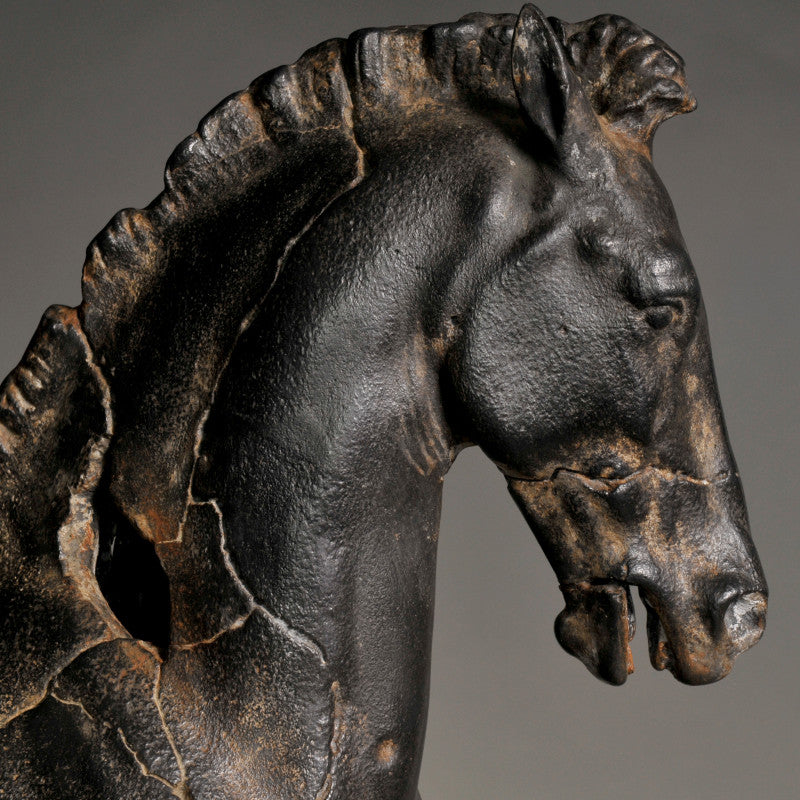 Monti Horse