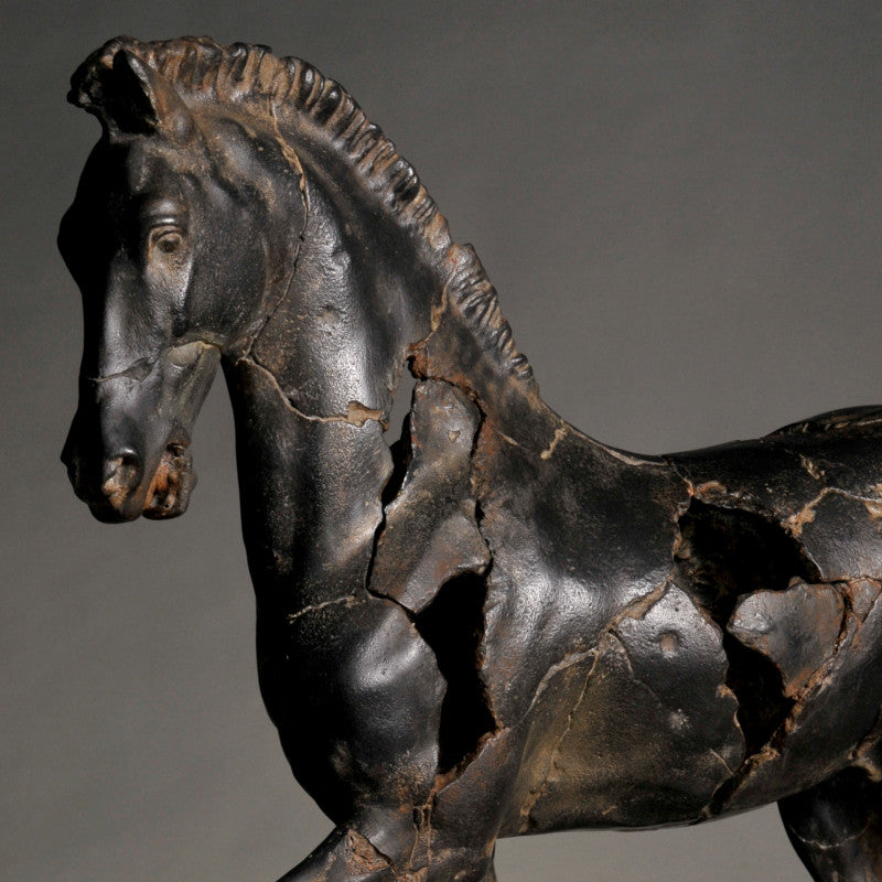 Monti Horse