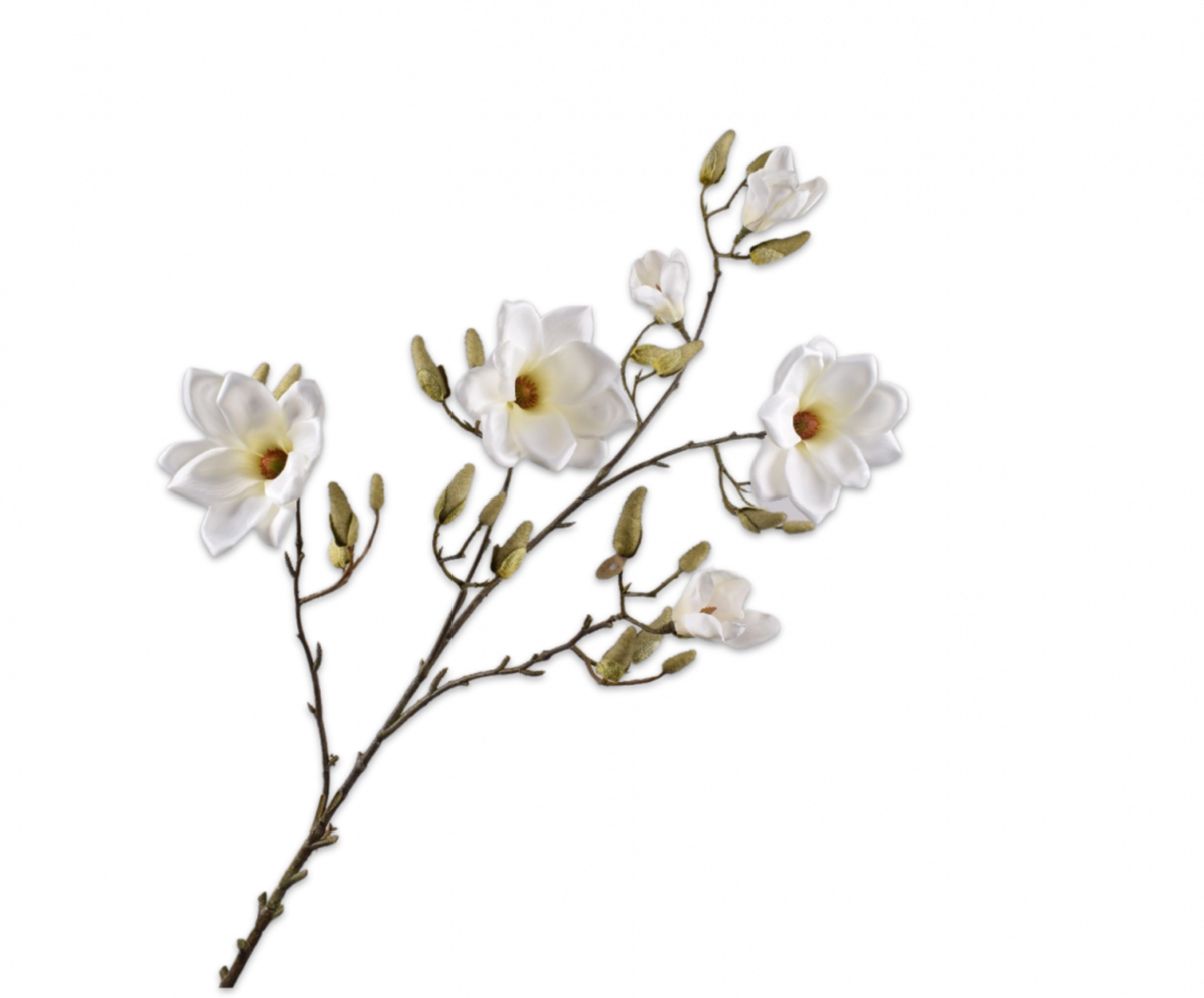Magnolia Branch Cream