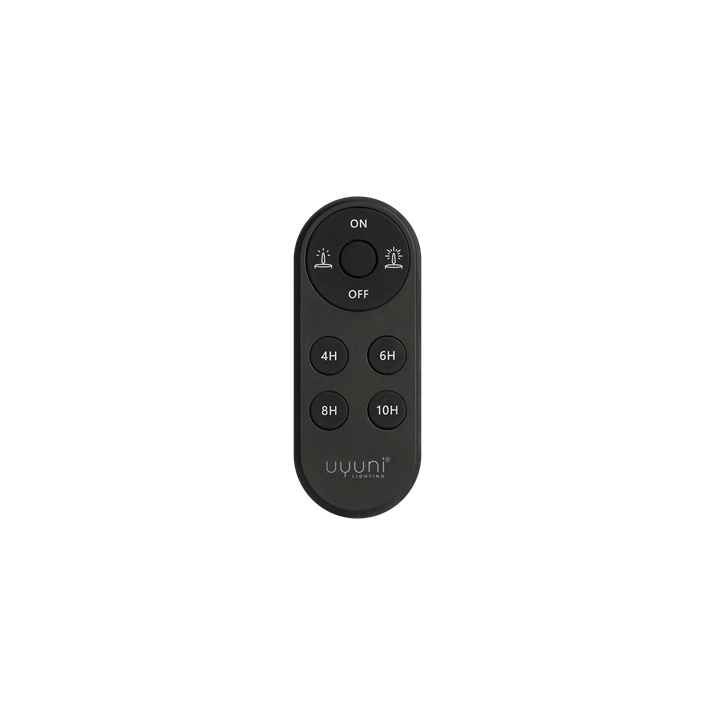Remote Control Oval