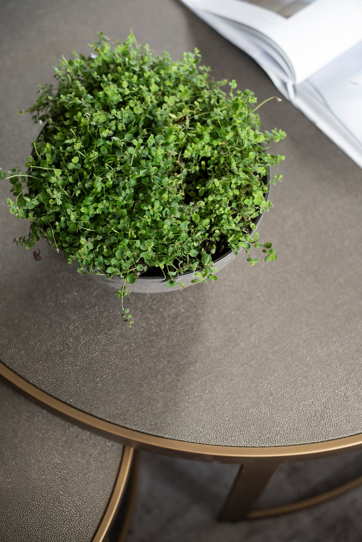 Shagreen Coffee Nested Tables