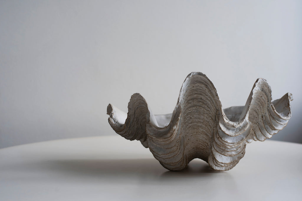White Small Tricnada Clam