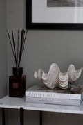White Small Tricnada Clam